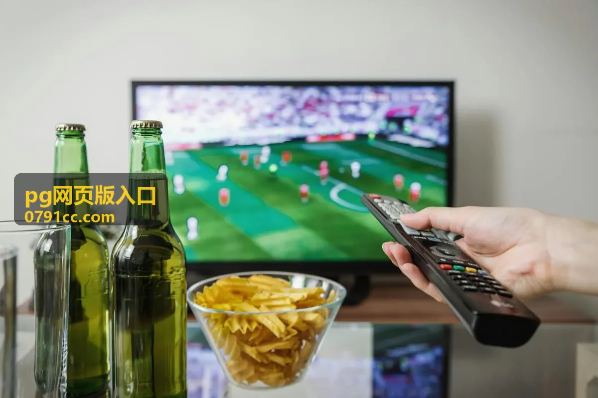 移动端 pg网页版入口适配页面