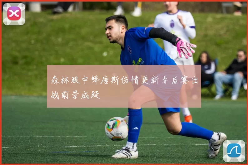 森林狼中锋唐斯伤情更新季后赛出战前景成疑