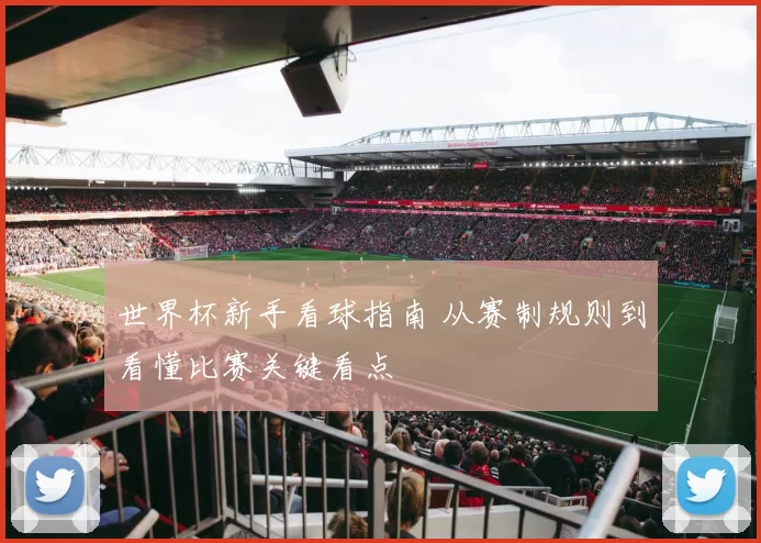 世界杯新手看球指南 从赛制规则到看懂比赛关键看点