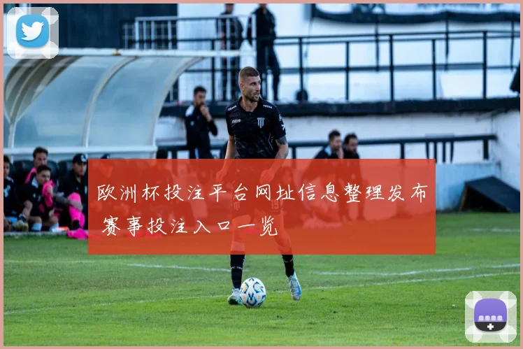 欧洲杯投注平台网址信息整理发布 赛事投注入口一览