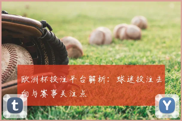 欧洲杯投注平台解析:球迷投注去向与赛事关注点